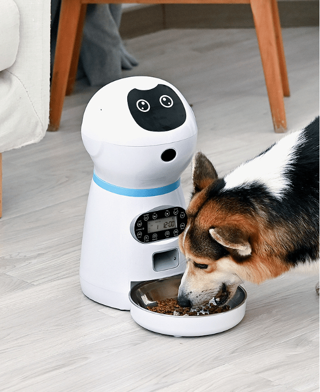 Automatic pet feeder - #amazingpetmarket#