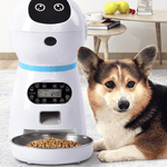 Automatic pet feeder - #amazingpetmarket#