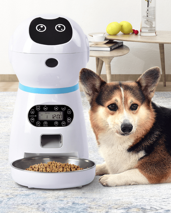 Automatic pet feeder - #amazingpetmarket#