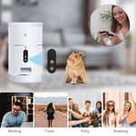 Pet Dog Cat Food Dispenser Bowl with Camera Wide Angle Automatic Pet Feeder Food Bowl APP Control Pet Accessories - #amazingpetmarket#